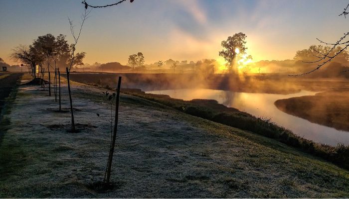  Geada dá as caras nas cidades, mas frio deve diminuir nos próximos dias no Paraná